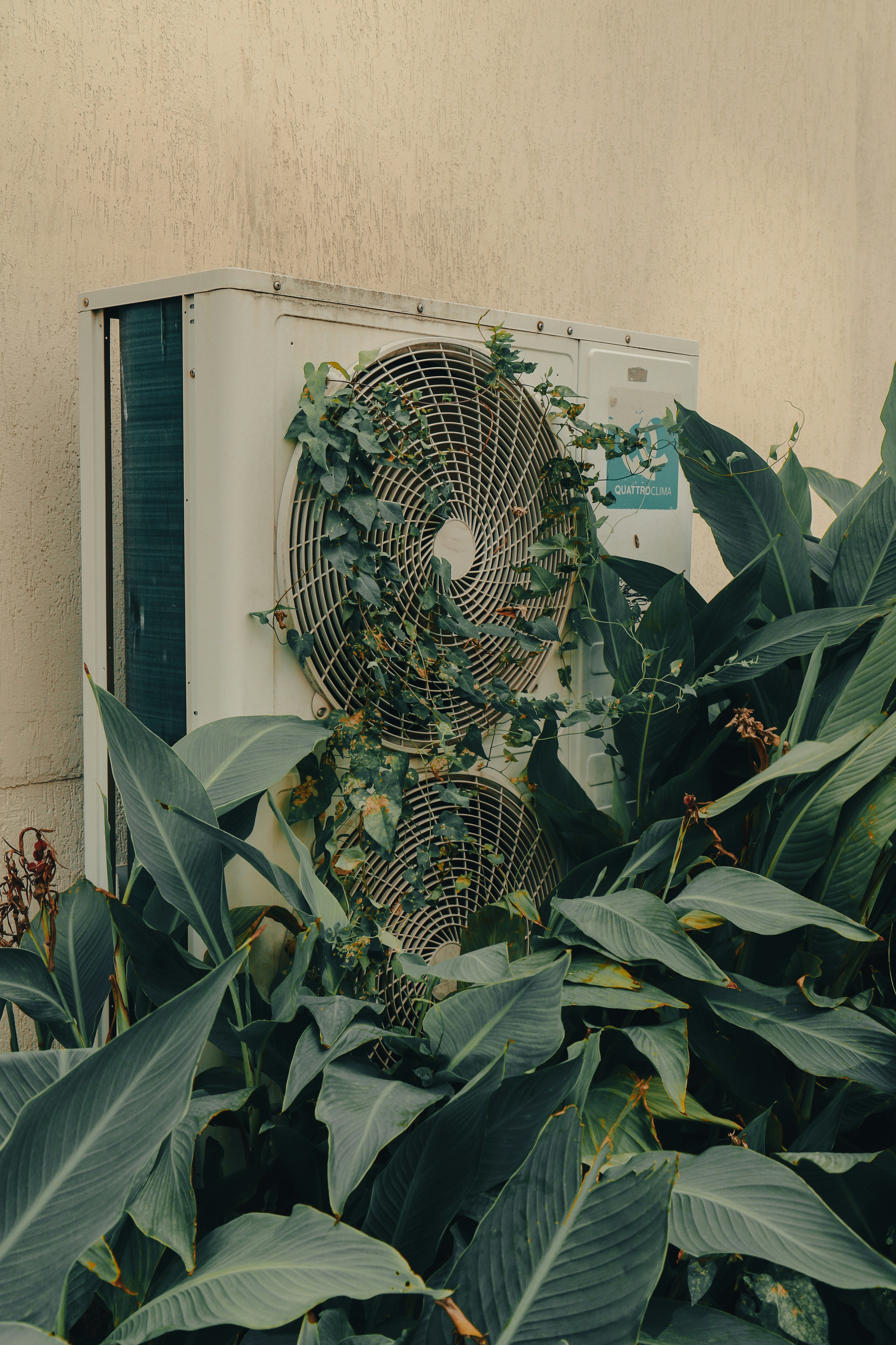 A air conditioner sitting next to a bunch of plants