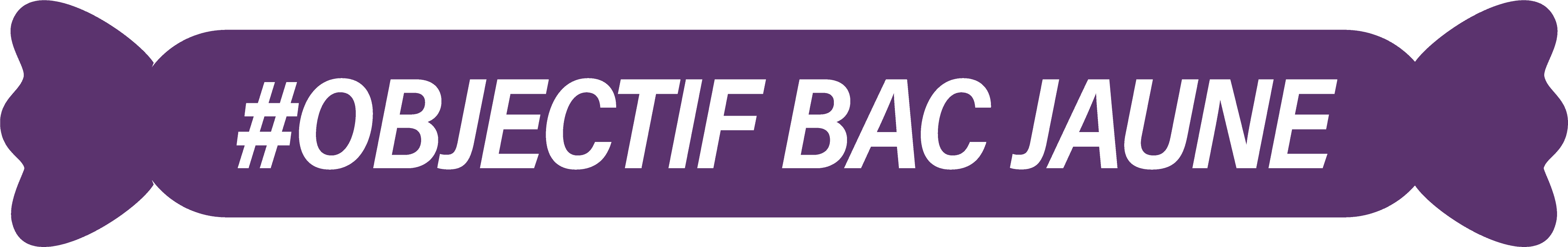 Petit logo jaune Objectif Bac