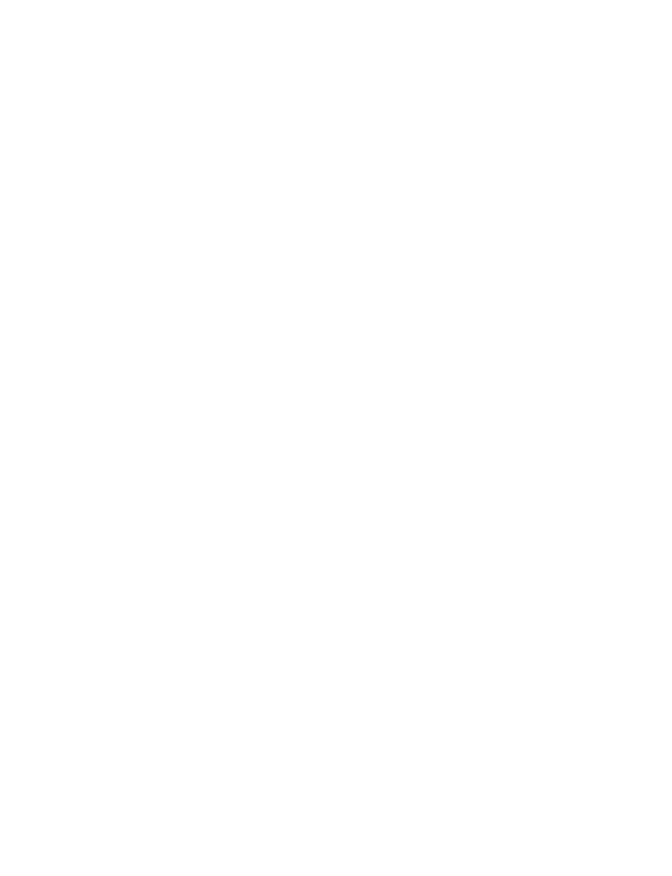 Native Foreign line logo