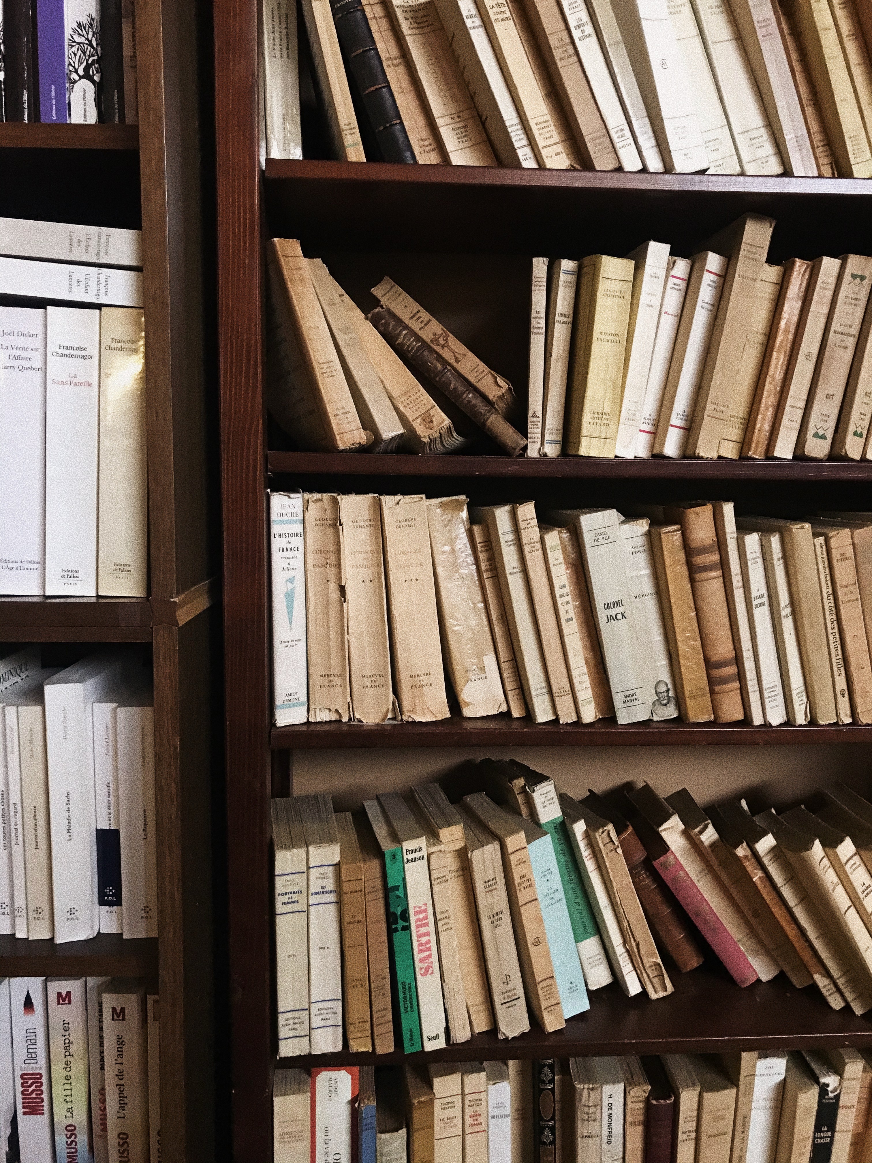Bookshelves of antiquated books