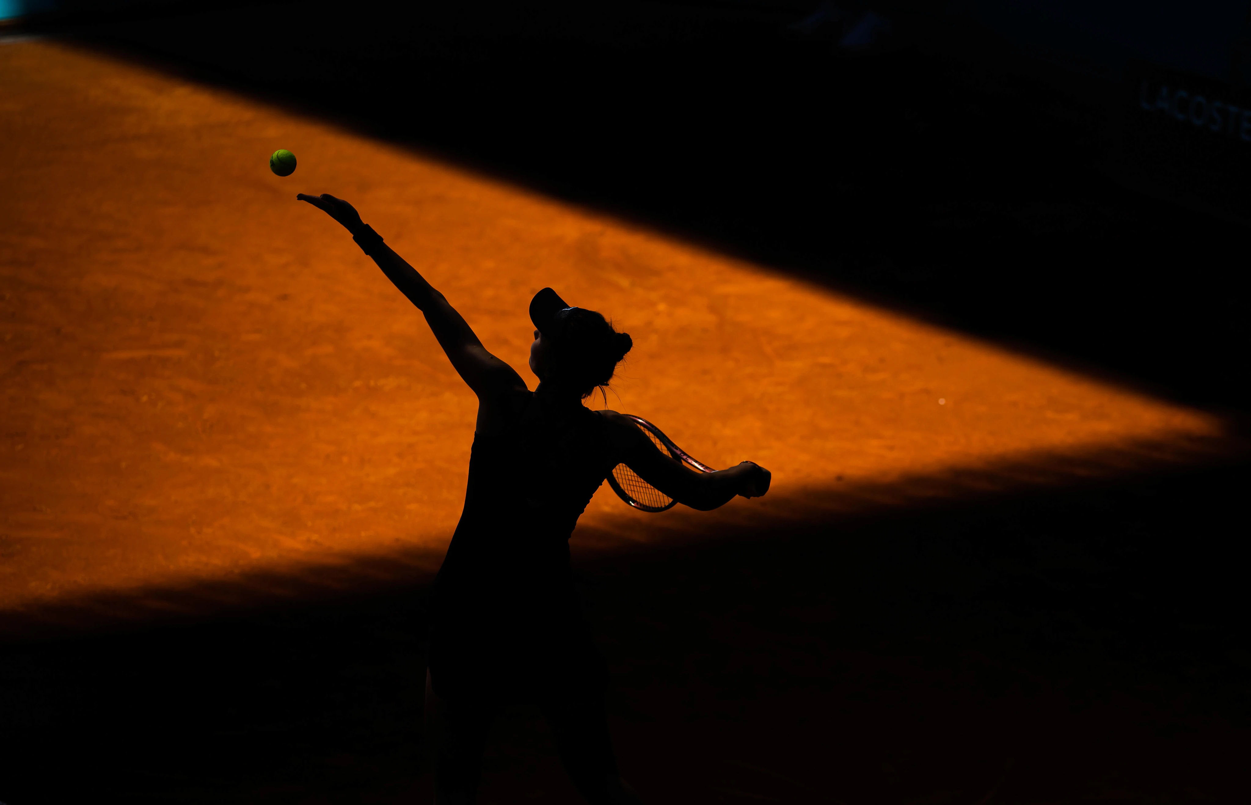 Fractional Brand Officer