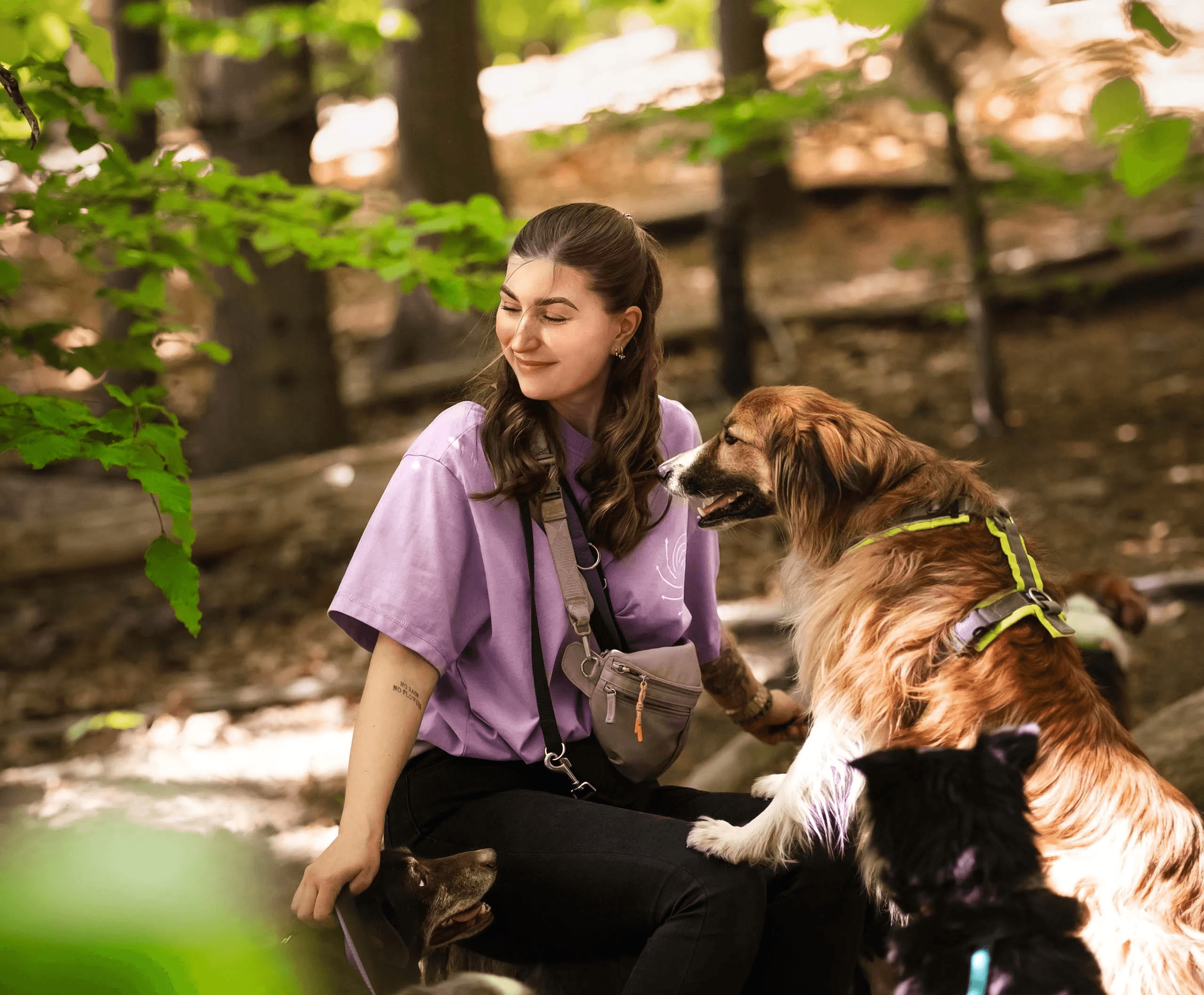 Xenia mit ihrer Hundegruppe