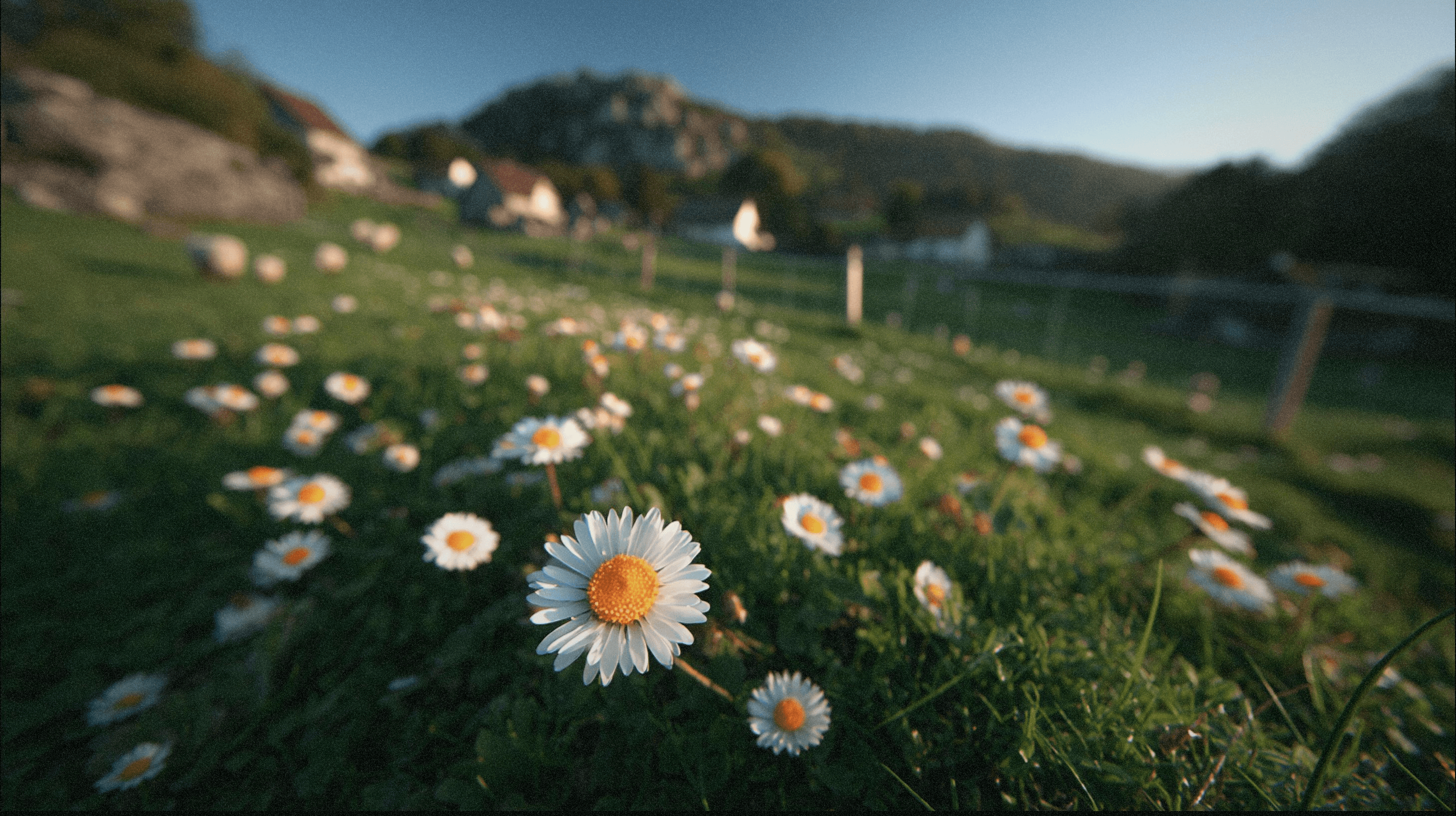 a blurry photo of a white background