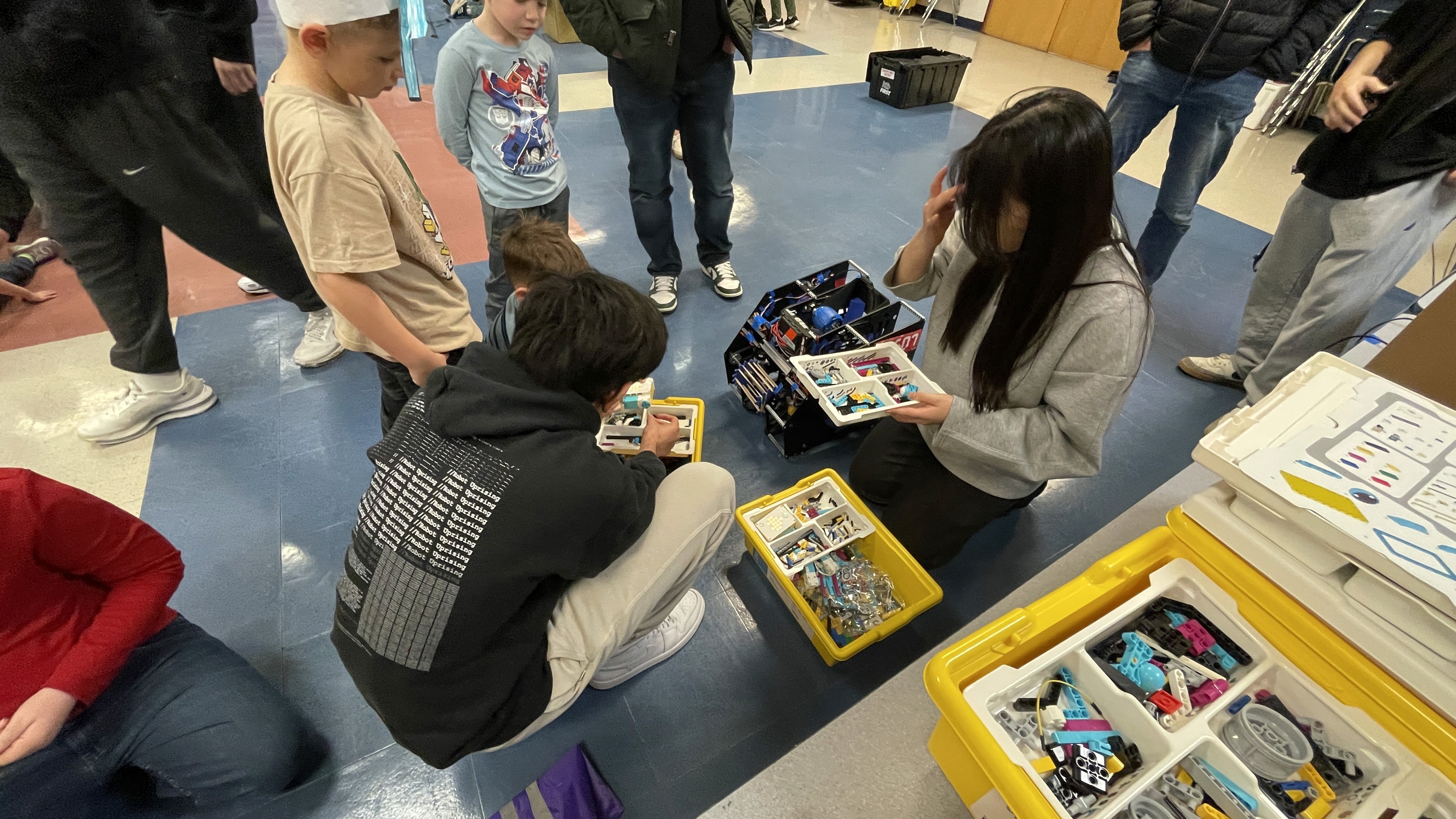 A close-up of a green fern against a bright yellow background.