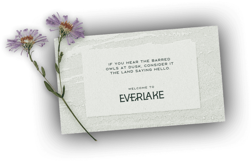 Everlake card