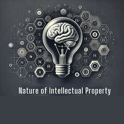 nature-of-intellectual-property​