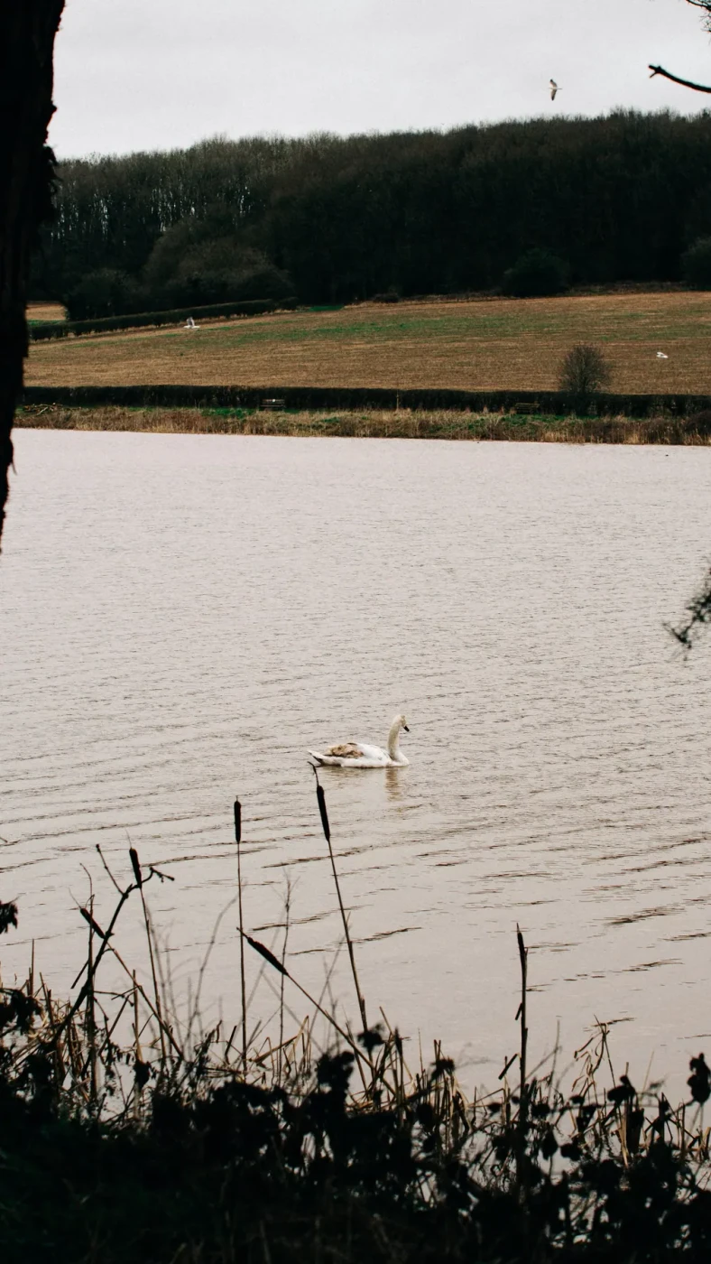 Landscape photography around Leicestershire