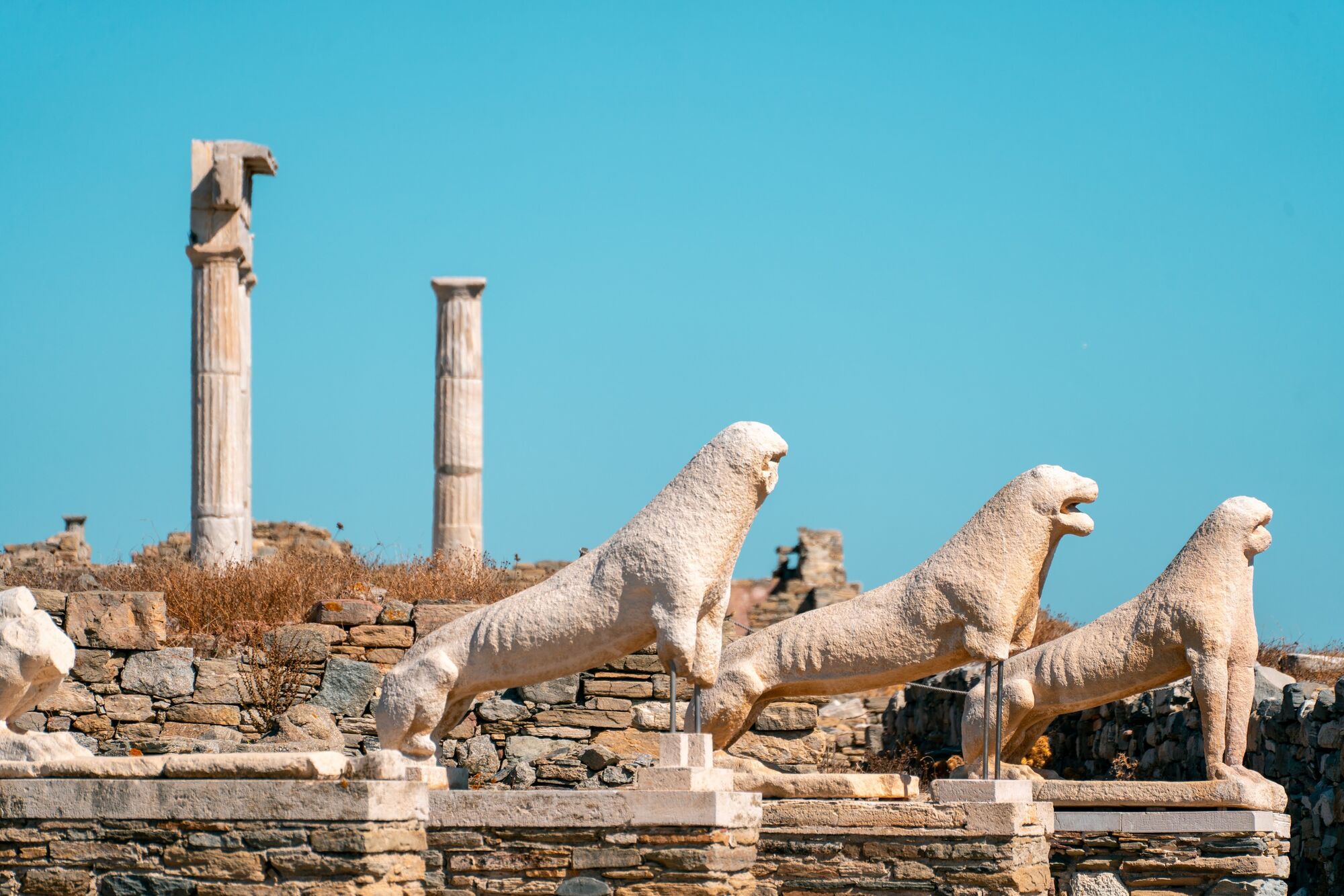 Here comes the alt text