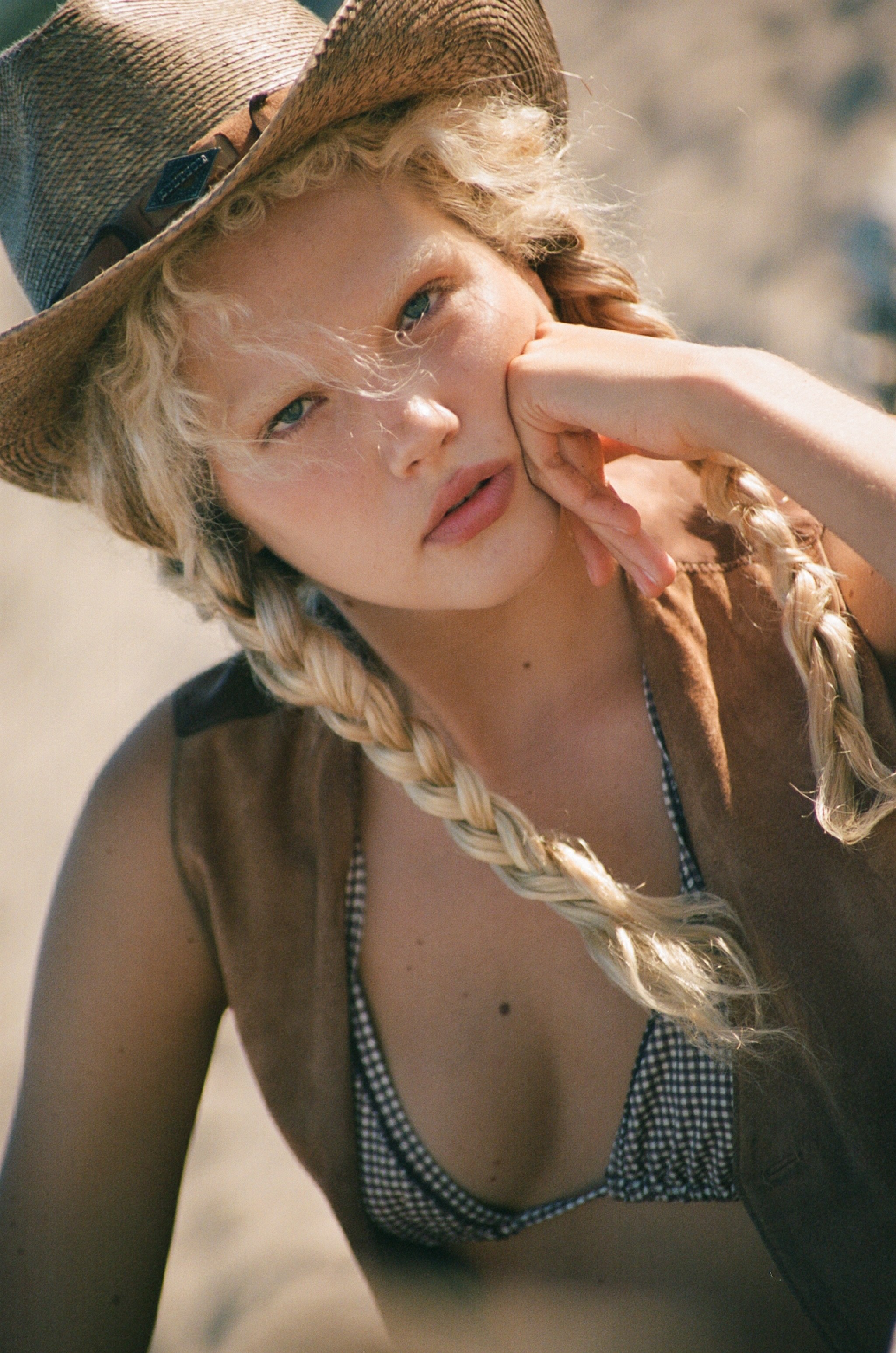 Minimalist floral branch with white flowers and yellow centers casting soft shadows