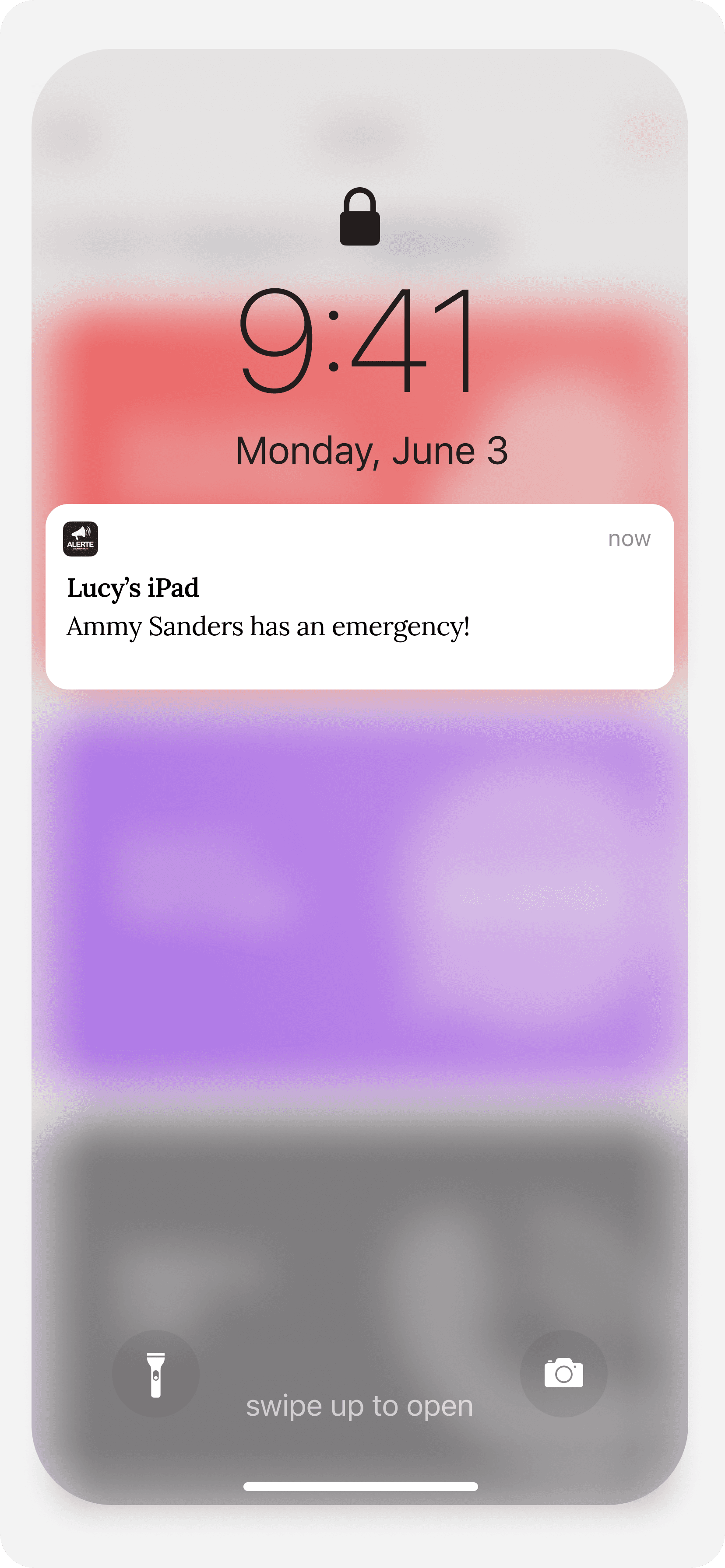 Large Project Gallery Image #2