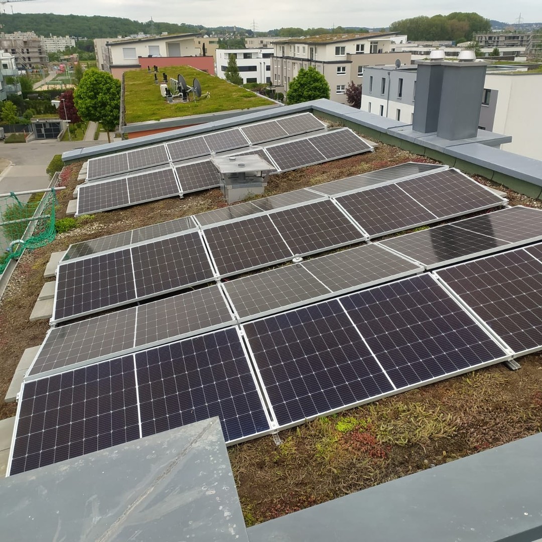 Vintage Car Under Palm Trees