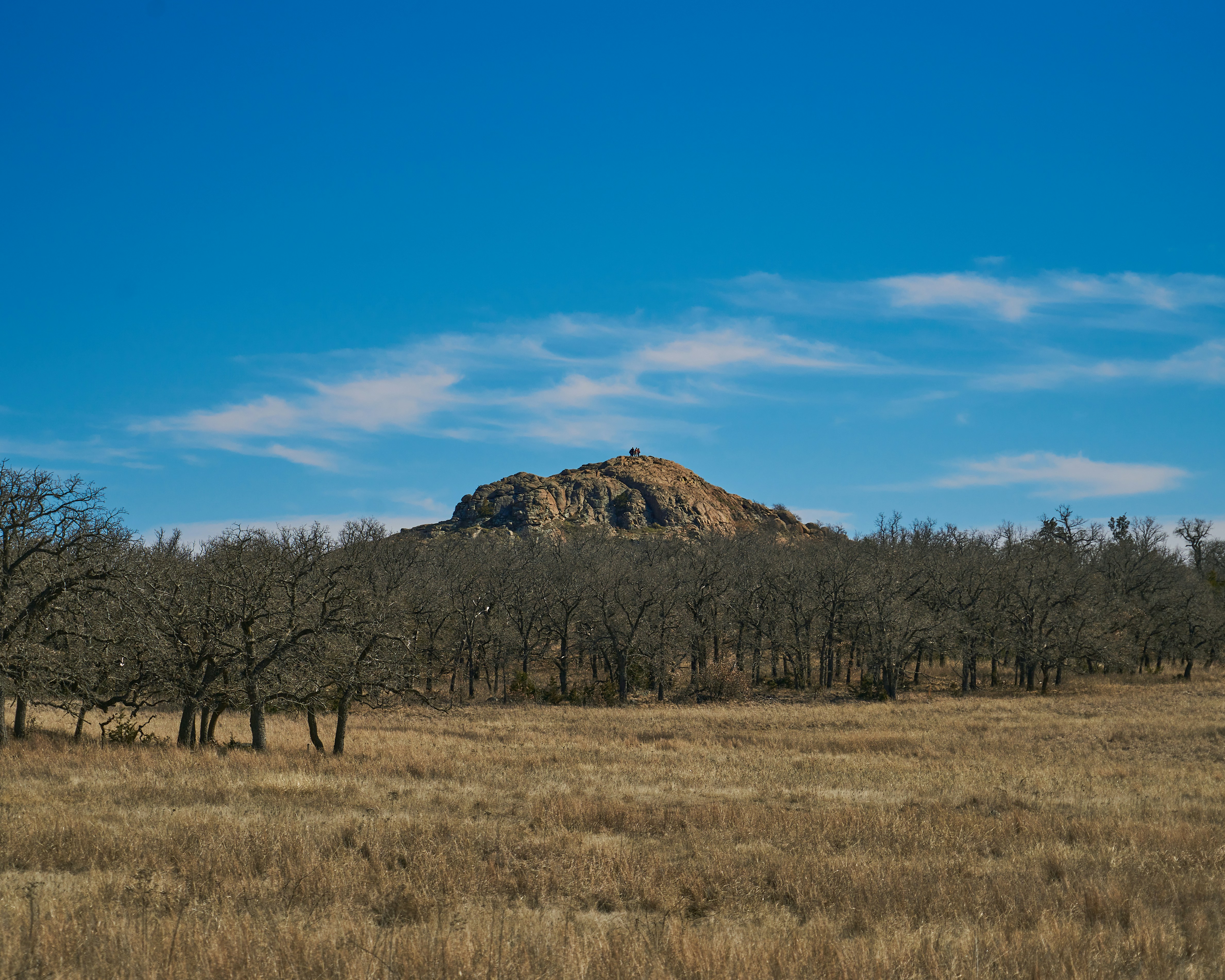 brown grass field near green trees and mountain under blue sky during daytime