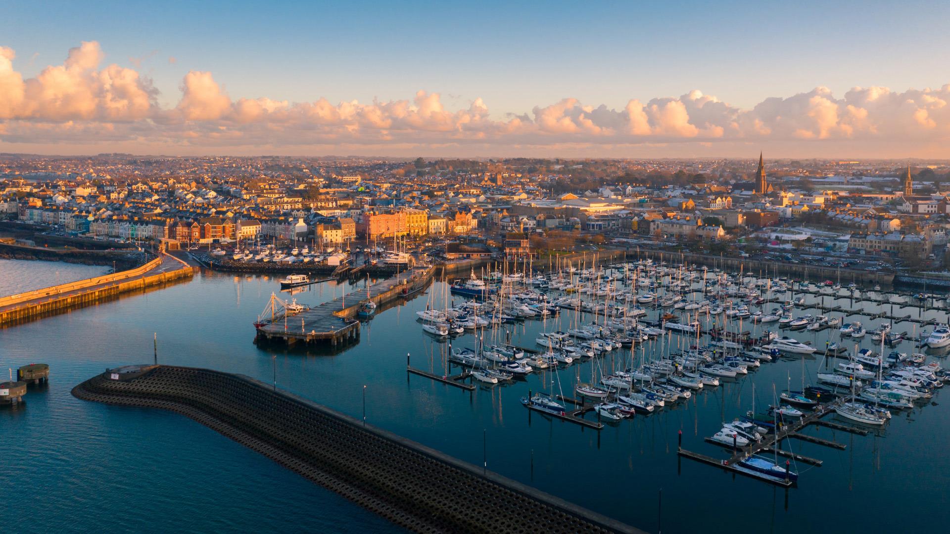 Field with sheep in Penrhyn-coch