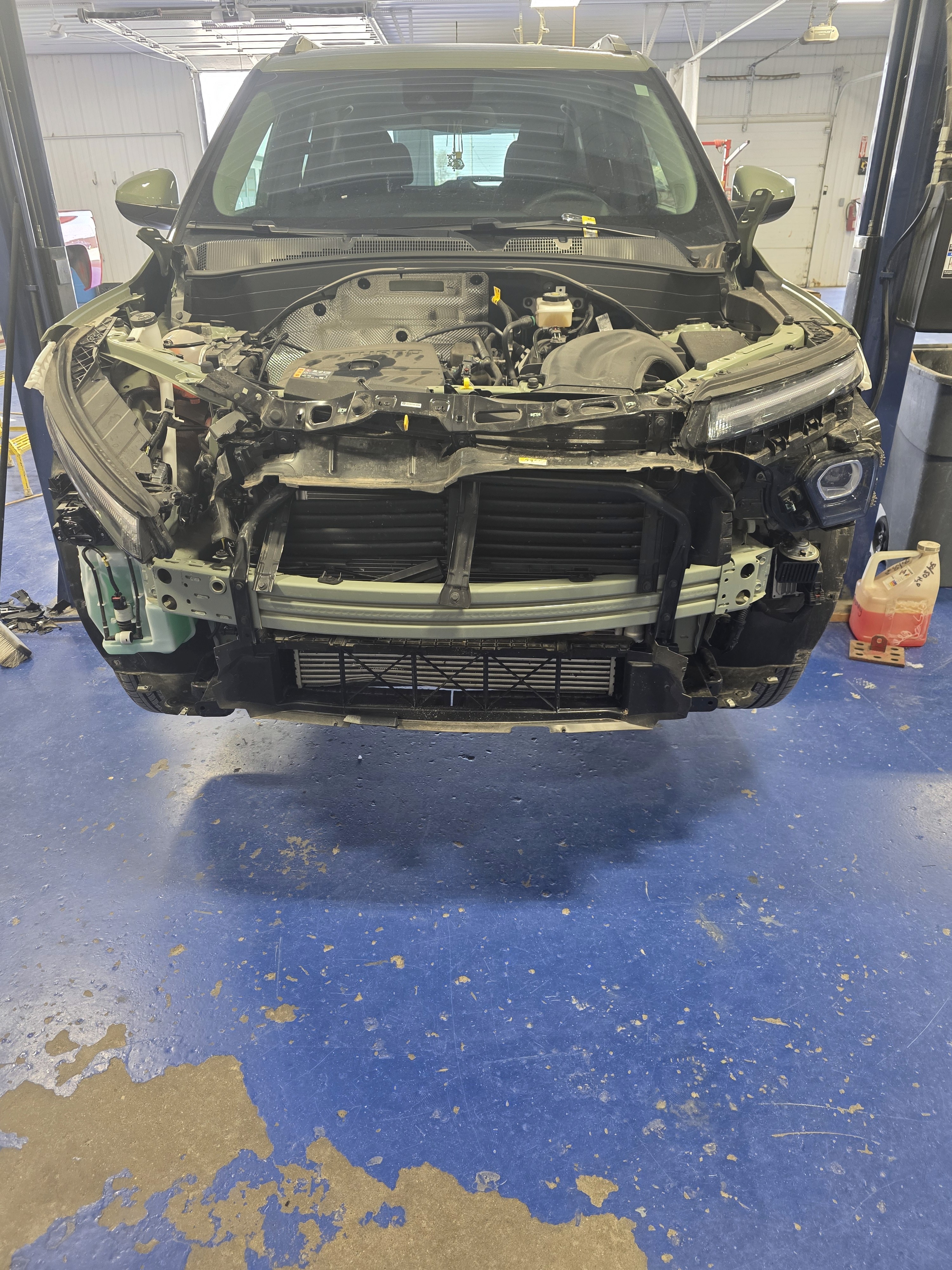 assessing deer damage