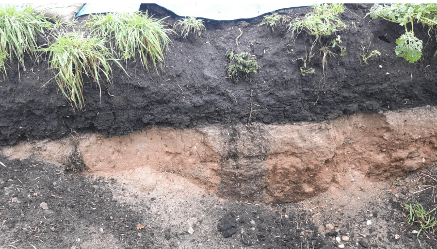 holding soil in hand