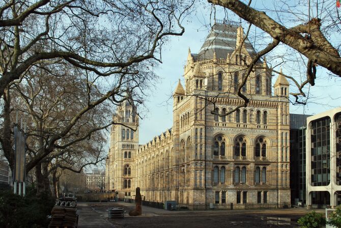 Visit the Natural History Museum