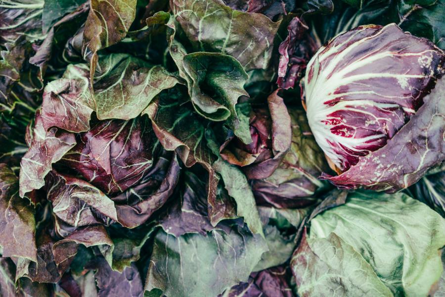 Radicchio e difese immunitarie