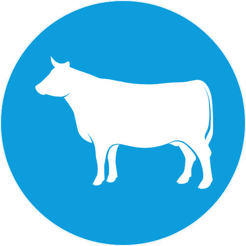 Ruminants Icon