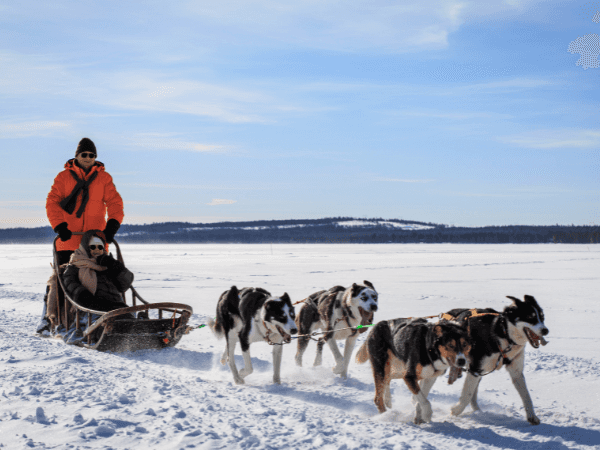 Teppo Vertomaa, Visit Rovaniemi