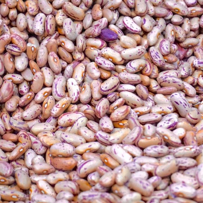 Fagioli