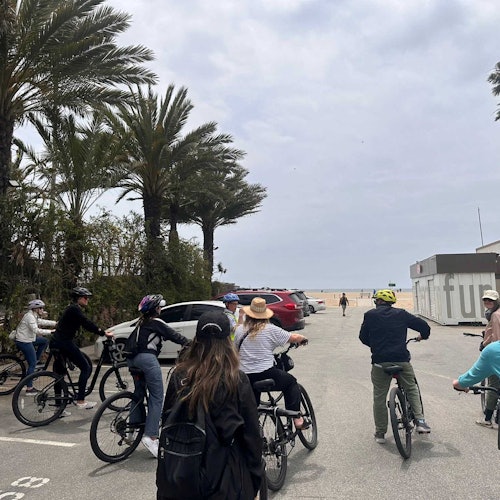 Un grupo de personas monta bicicletas hacia una playa, con palmeras y coches estacionados a lo largo del camino.