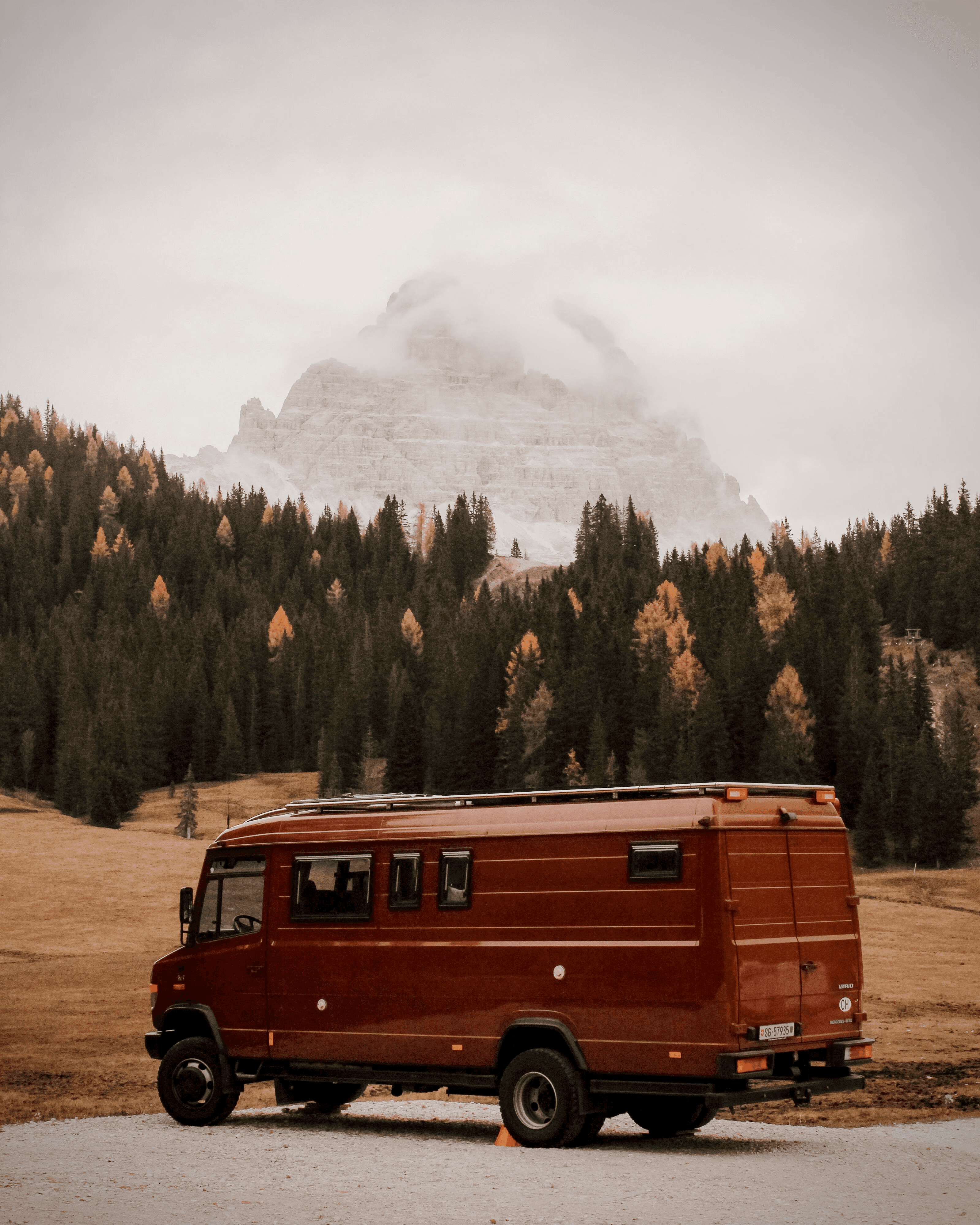Vintage Car Under Palm Trees