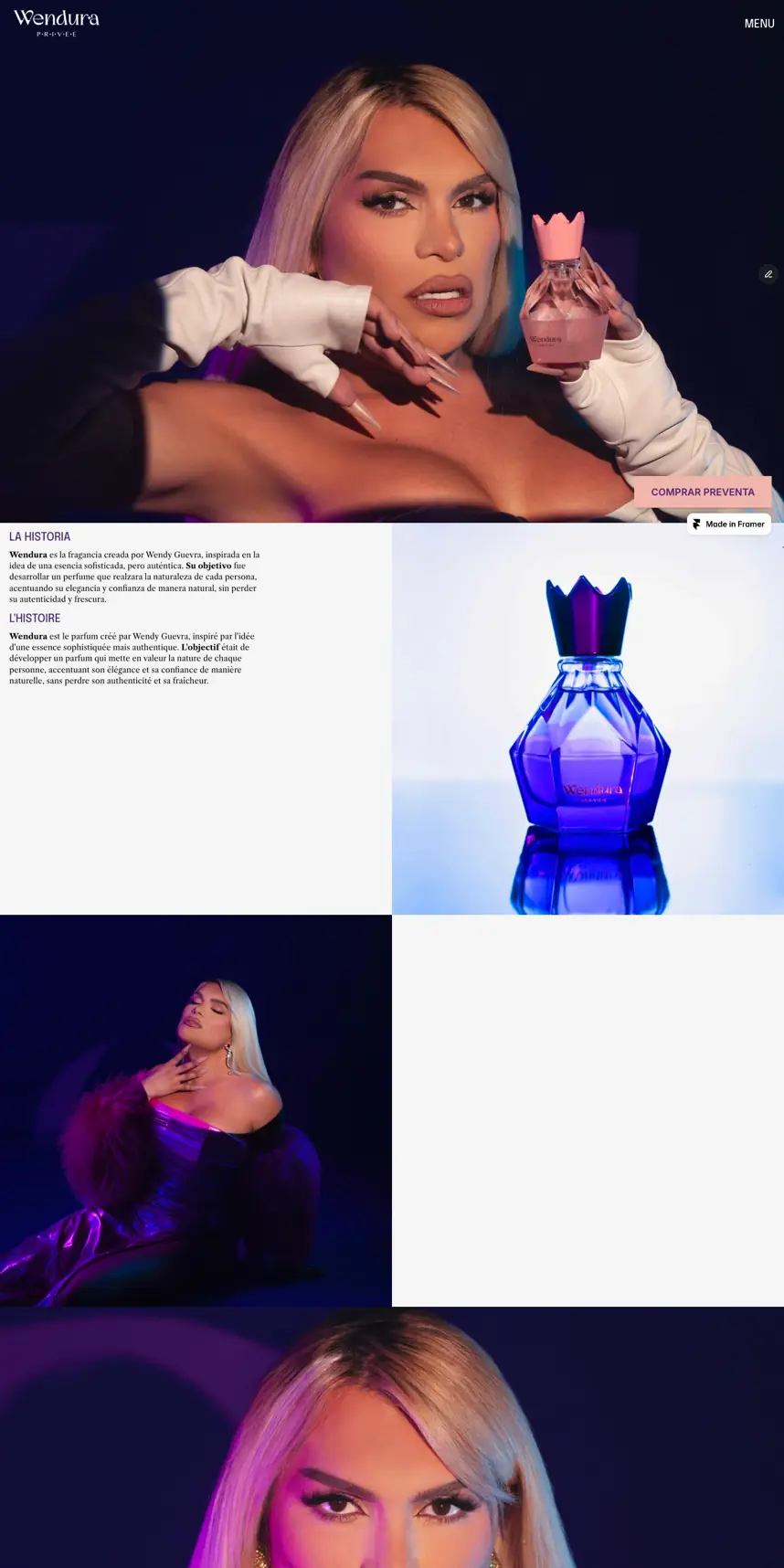 Wendura website screenshot