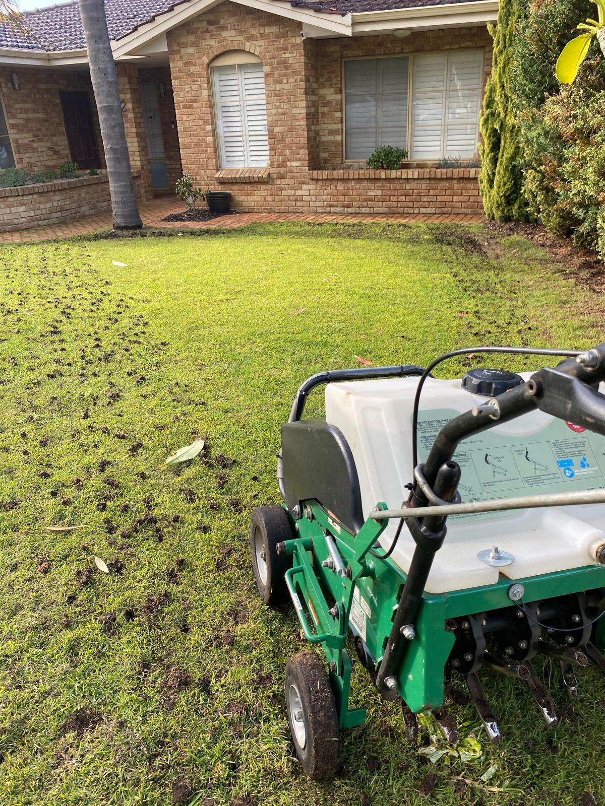 Healthy green lawn and thriving backyard garden in Perth, representing soil improvement and lawn care services.