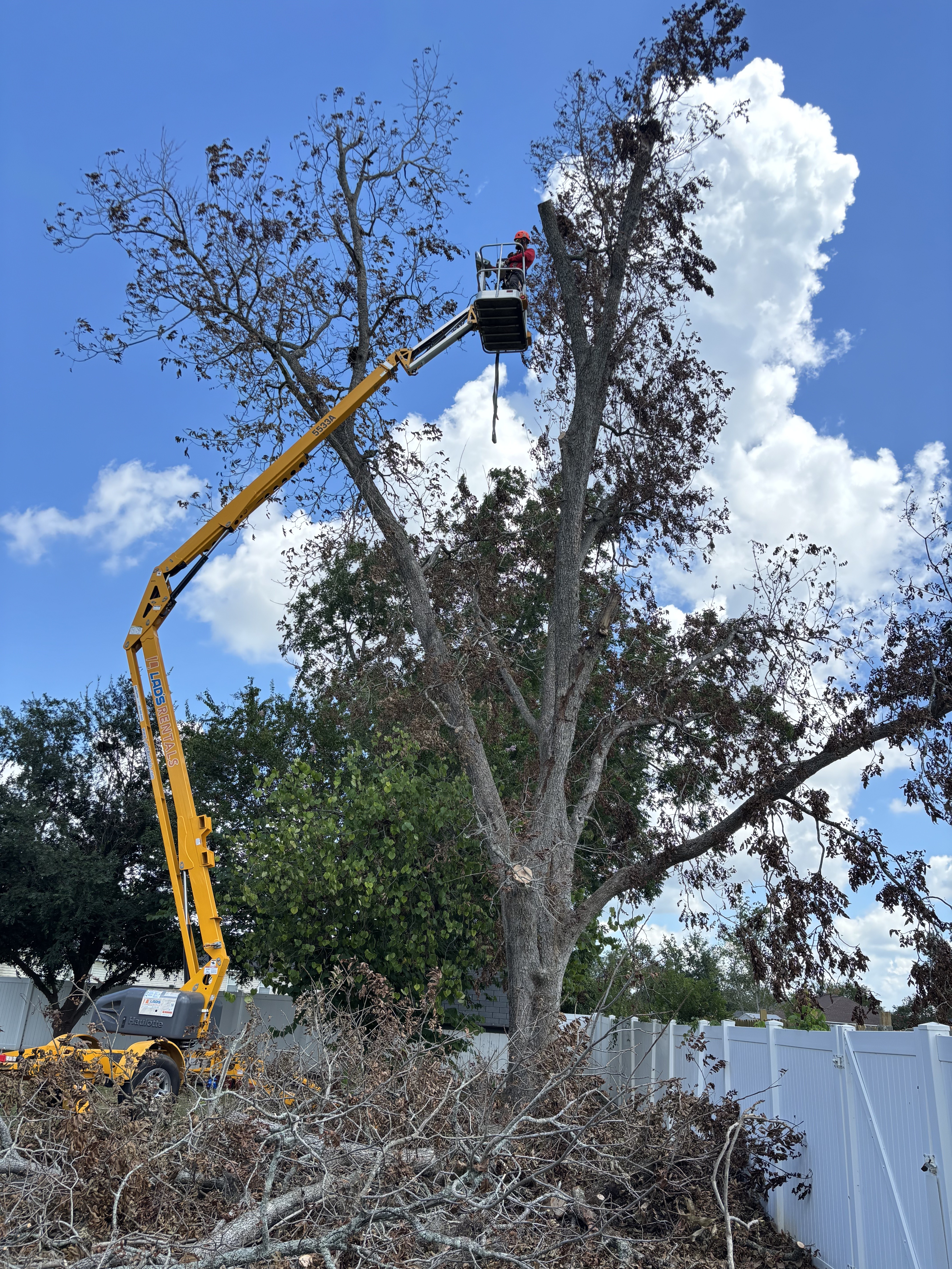 Wicked Nature Community Impact