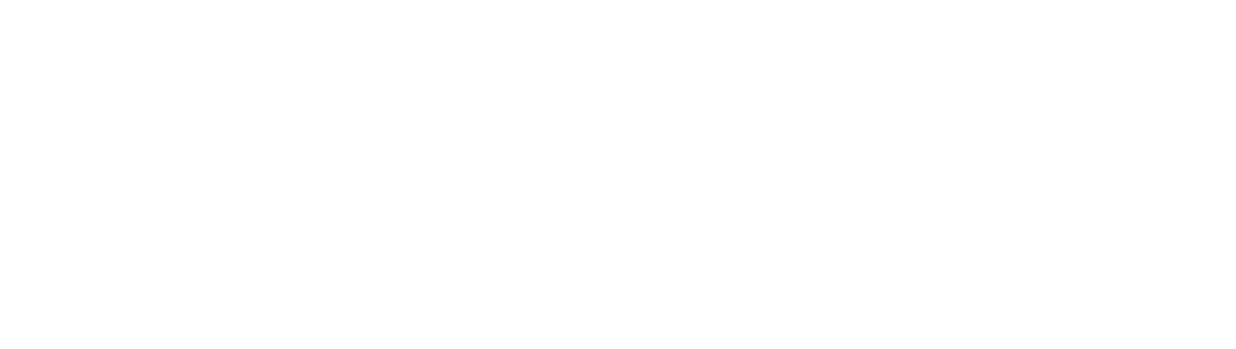 Perform Template Logo