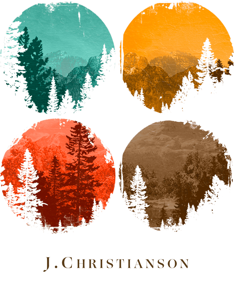 Hill country living room with vintage vinyl record player on wooden shelves against stone fireplace wall with western artwork