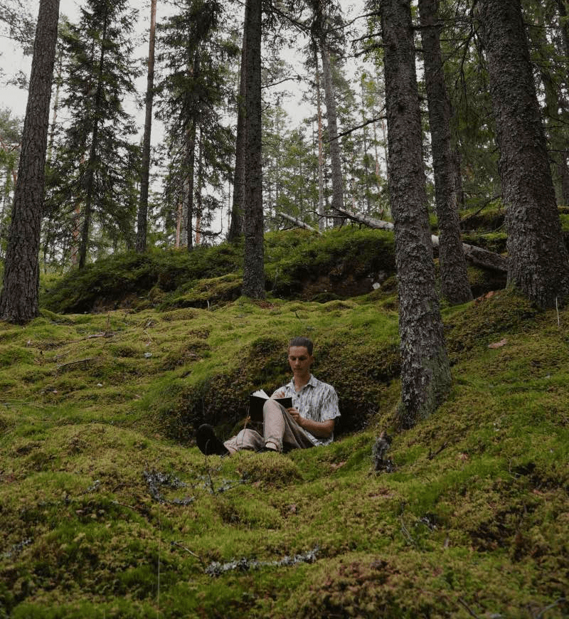 Person sitting in a mossy forest, writing in a journal — reflecting on life and cultivating clarity.