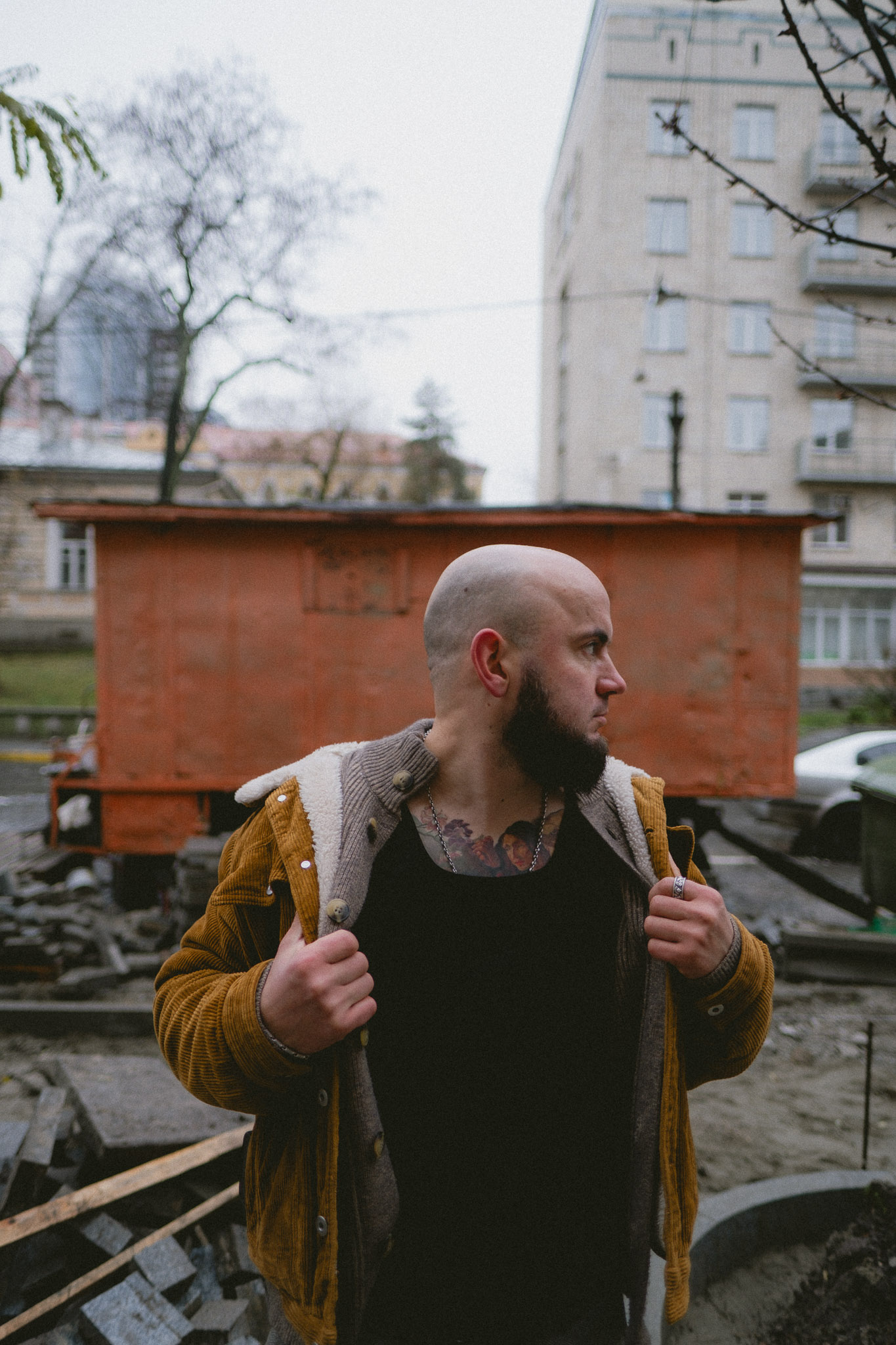 A green butterfly rests on a flower.