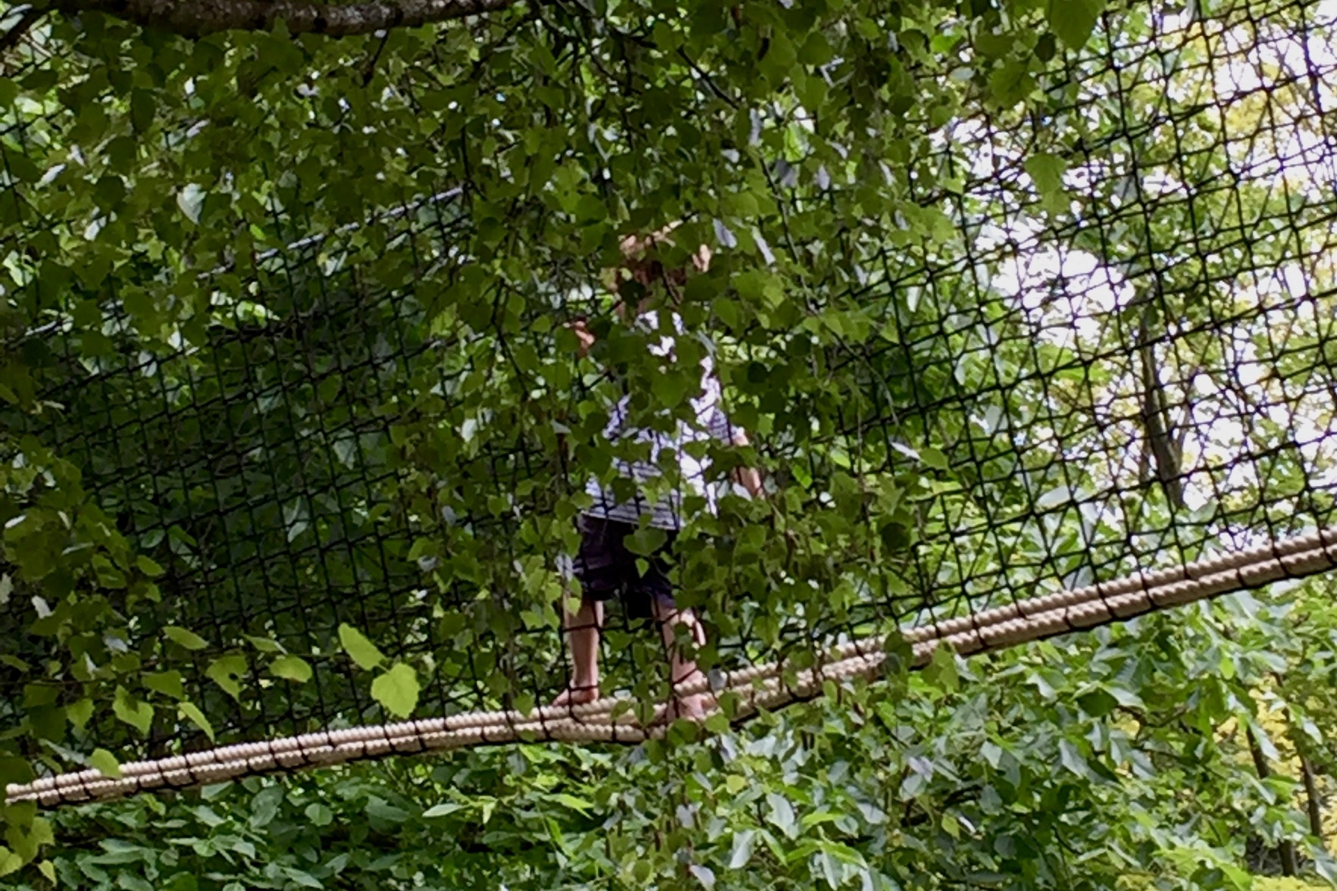 Streetside billboard with flyposters of the Batch.Works brand and illustrations