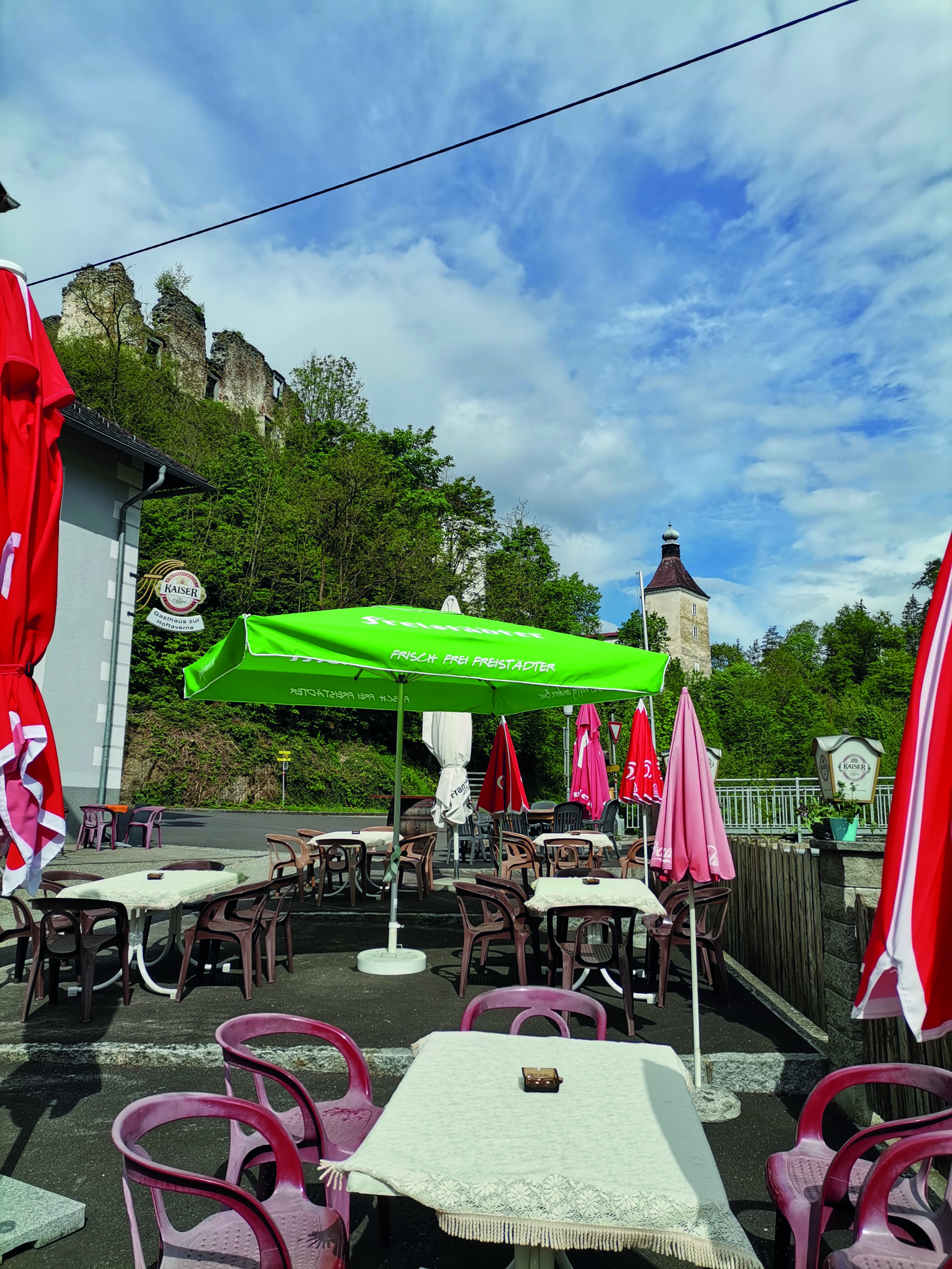Close-up of lush, dark green leaves, some glossy and wet, against a muted background.