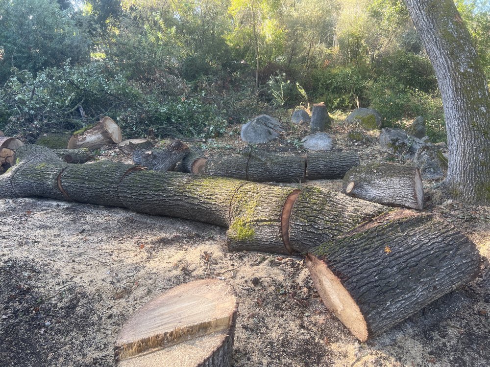 breaking down a large log.