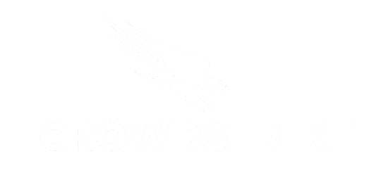 Stripe Logo: Payment Processing Innovation