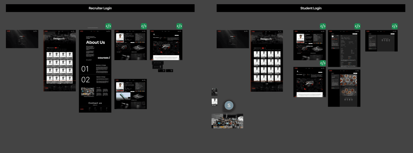 brown starfish on blue sand