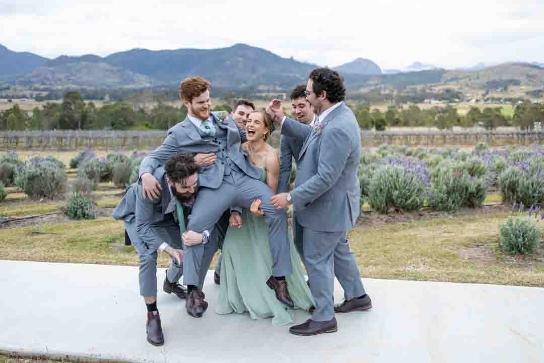 Groomsmen and bridesmaid lifting groom in front of lavender field