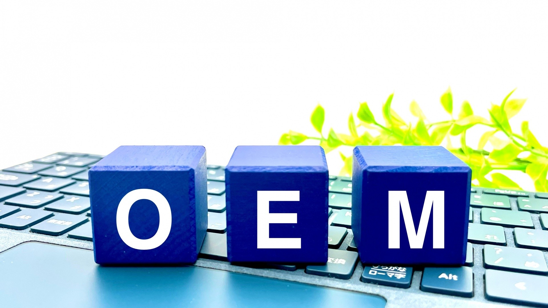 OEMの文字とパソコンのキーボード