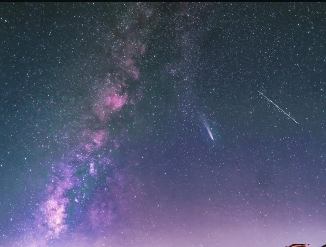 Vintage Car Under Palm Trees