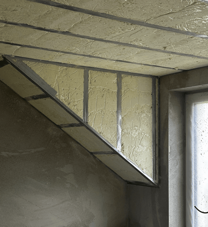 Close-up of a tree stump showing growth rings and a textured brown wood surface.