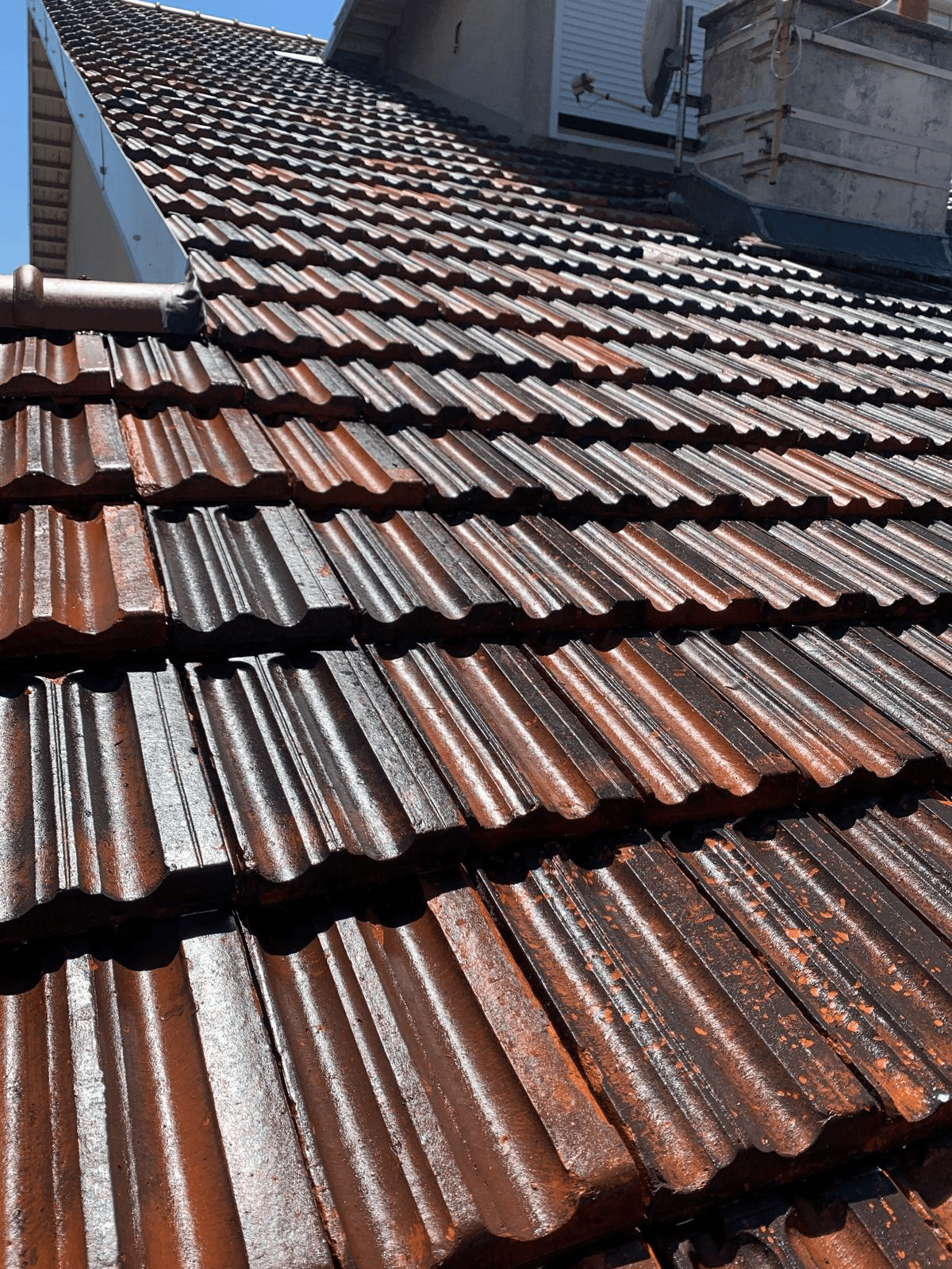 a close up of a roof with a blue tint