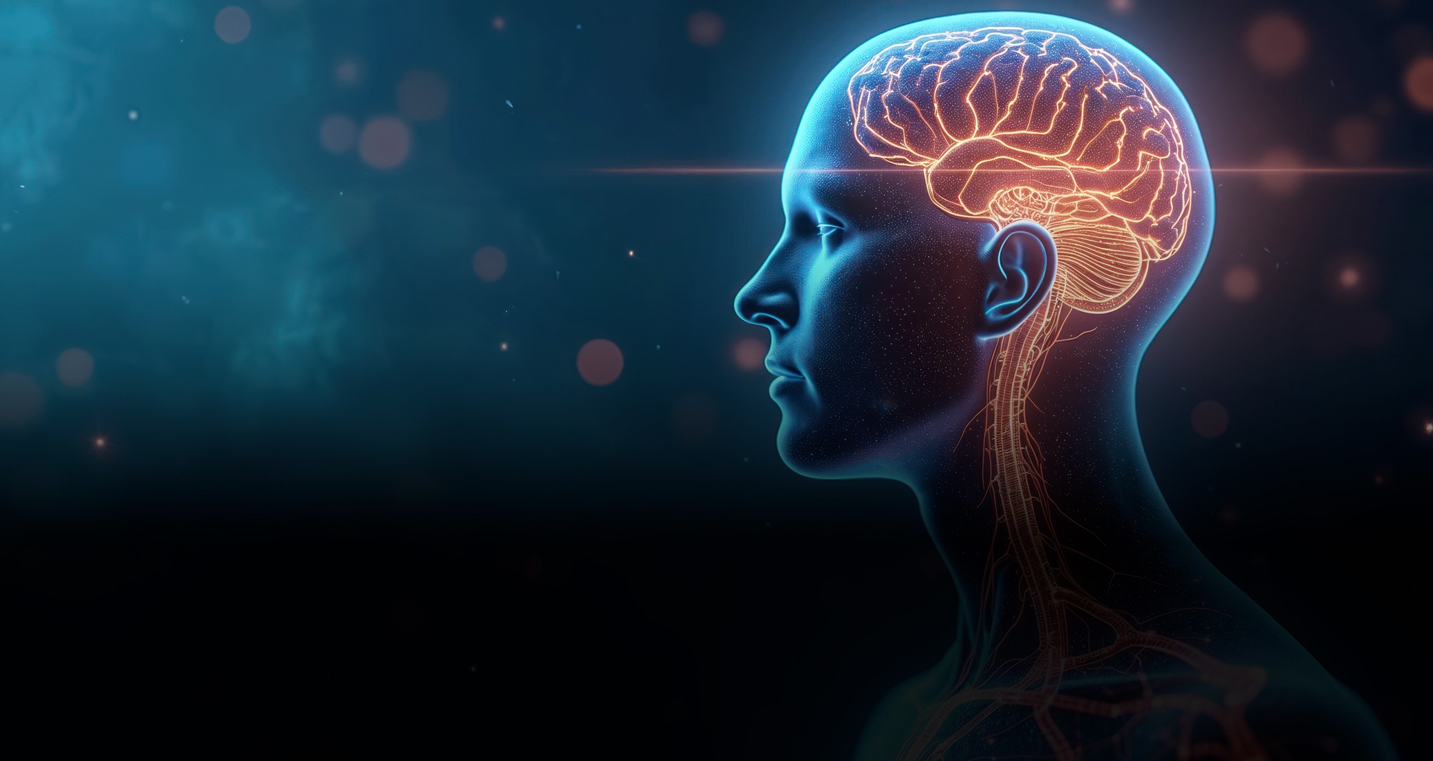 artistic rendering of the brain and spinal cord in a person's head