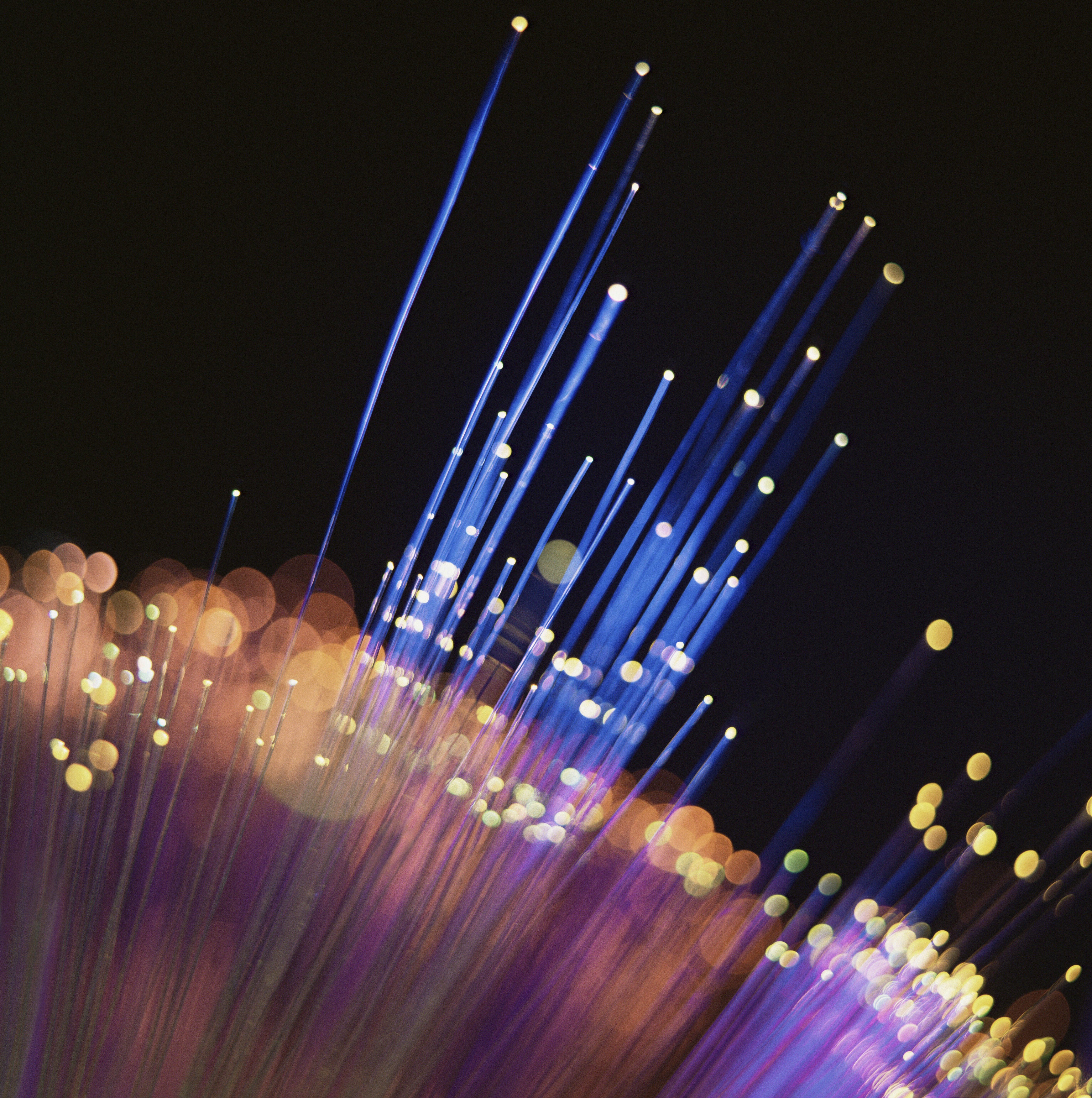 Ideal Customer Profile