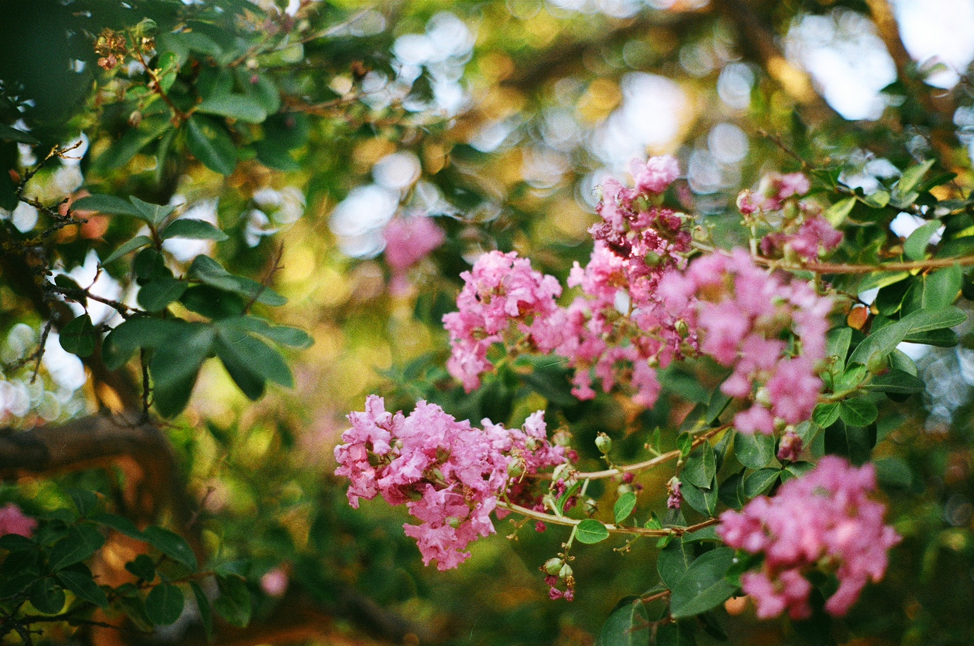 Table with open book, tea and pillows spread around