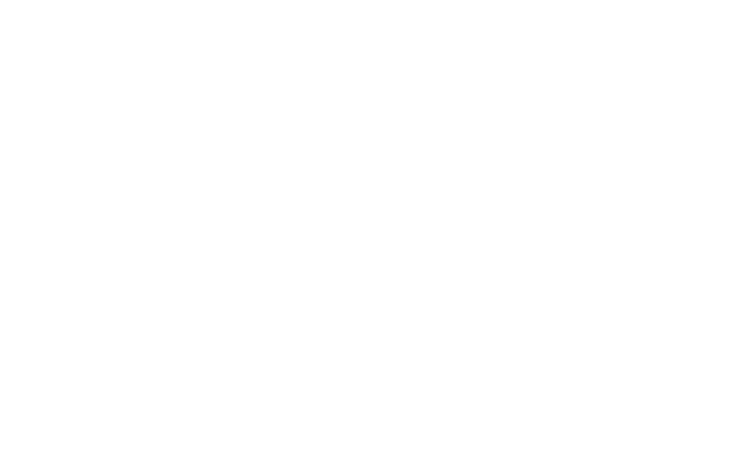 Logo Finsmart