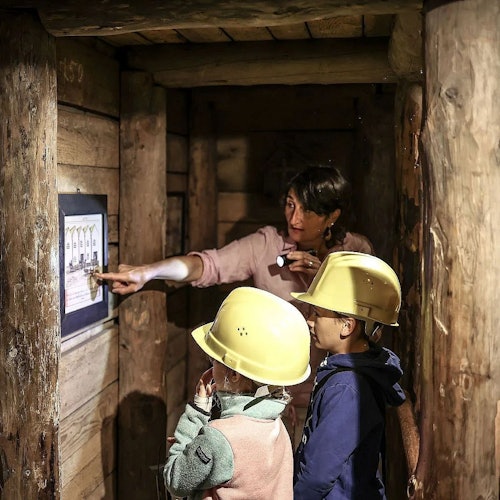 Ulaznice za vođeni obilazak Rudarskog muzeja (Bergbaumuseum) u Hall in Tirolu, Sjeverni Tirol
