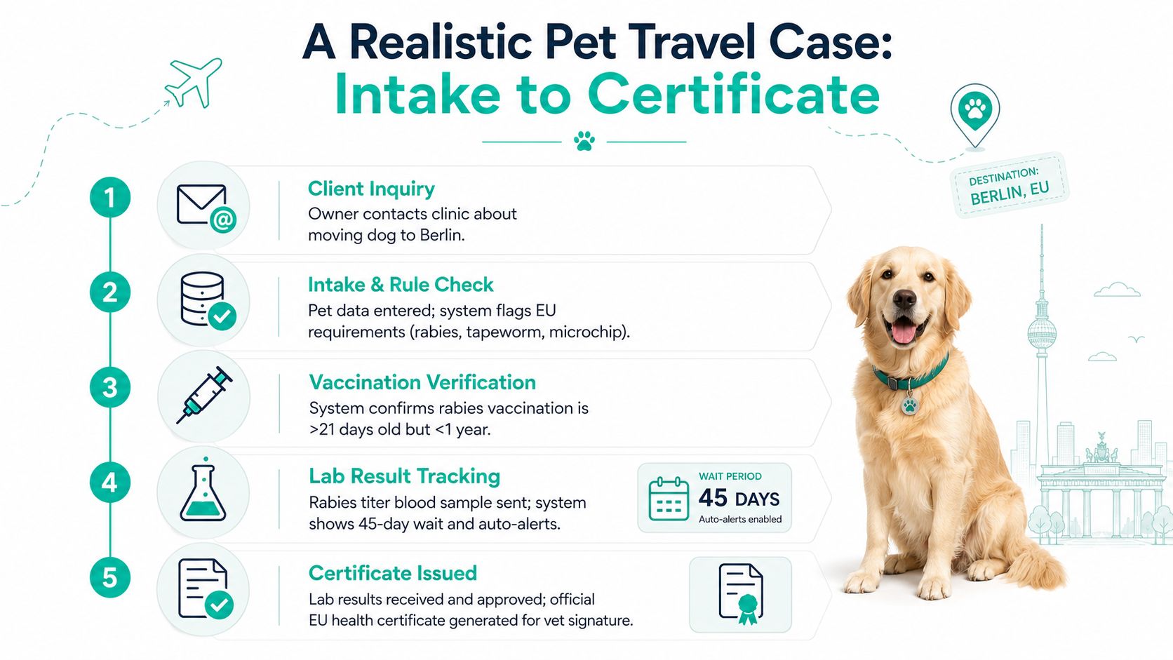A process infographic showing the five steps of an international pet travel certification process for a dog.