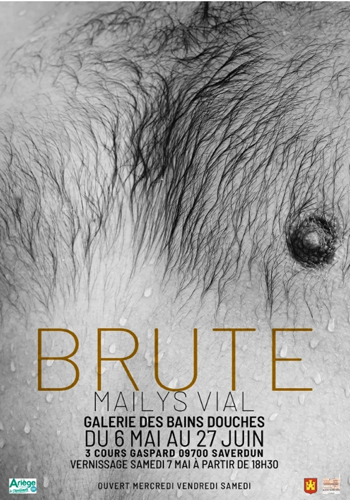 Image de l'affiche de l'exposition Brute de Maïlys Vial à Saverdun
